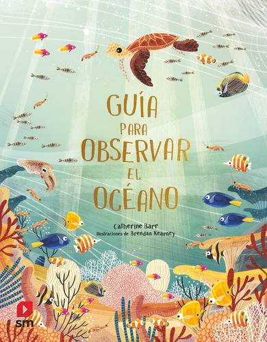 Libro Guia Para Observar El Oceano - Barr, Catherine