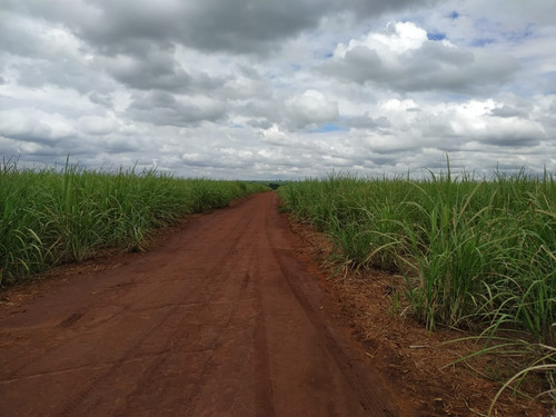 Fazenda Para Venda Em Morro Agudo-sp, Com 74,9 Alqueires Para Cana E Grãos, Ótima Localização - Fa00085 - 69245439