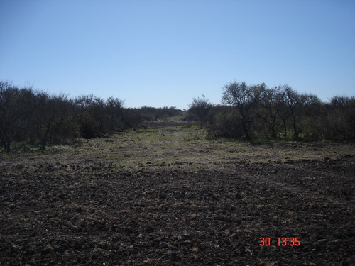 Imagen 7 de 12 de Campo Ganadero 42 Has E.rios Altamirano Sud Ideal Ganadería