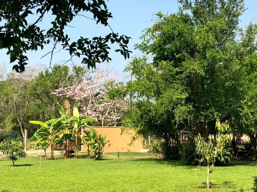 Hermosa Finca En Venta En Municipio De Juan De Alfaro
