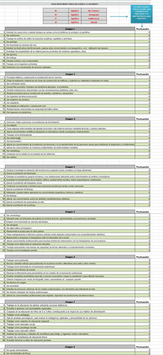 Test Ipp R Inventario Preferencias Profesionales Automatizad