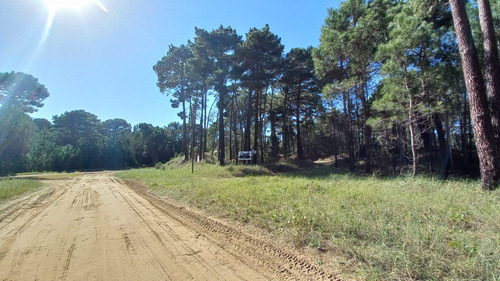 Venta Lote Alamos. Escritura Y Proyecto Aprobado!