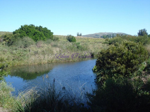 Imagen 1 de 18 de Campo 98 Has Con 2891 M2 En Carape Cuenta Con Costa De Arroyo.