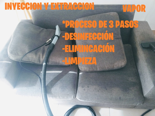 Imagen 4 de 10 de Limpieza De Tapizados De Sillones, Colchones, Alfombras...