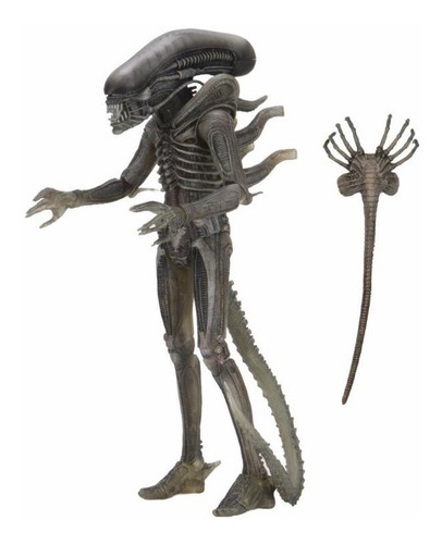 Imagen 3 de 5 de Alien 40 Aniversario Serie 16 Set 3 Figuras Neca