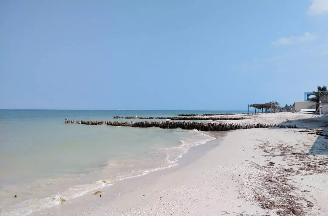 Venta De Terreno En La Playa De Chelem Yucatán