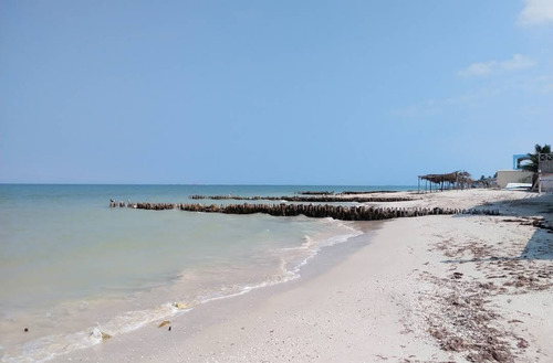 Venta De Terreno En La Playa De Chelem Yucatán 
