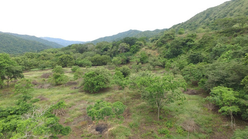 Lote En Venta En Santa Fe De Antioquia Espectacular