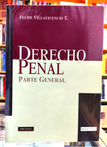 Derecho Penal Parte General, Felipe Villavicencio T.