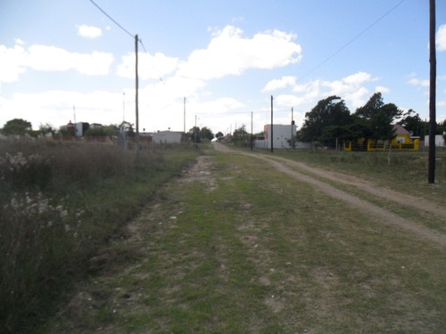 Imagen 5 de 5 de Lote En Calle 82 E/ 7 Y 8 (cod. 910)