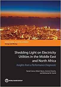 Shedding Light On Electricity Utilities In The Middle East A