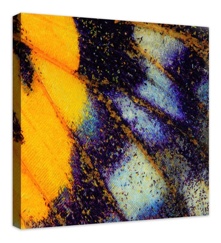 Cuadro Decorativo Canvas Moderno Ala Mariposa Pintura N° 5