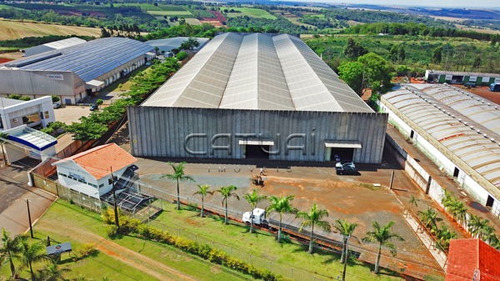 Comercial Galpão / Barracão - 303699-l