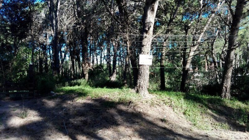 Imagen 2 de 5 de Terreno En Venta En Mar Azul