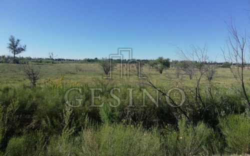Imagen 2 de 3 de Terreno - General Alvear