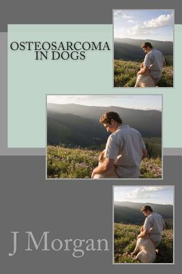 Libro Osteosarcoma In Dogs - J S Morgan Ma