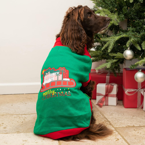 Jumper De Perros De Navidad Hugo & Hudson Santas Sleigh