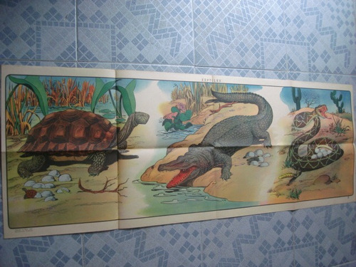 Antigua Lamina Revista La Obra  Año 1947 - Reptiles