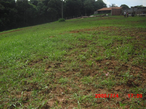 Imagem 12 de 13 de 4 Terrenos No Bairro Do Cupim