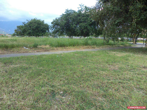 Imagen 3 de 3 de Terrenos En Venta