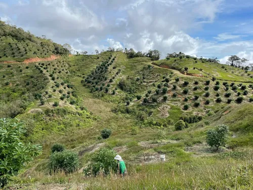 Finca En Venta En Granada. Cod V12640