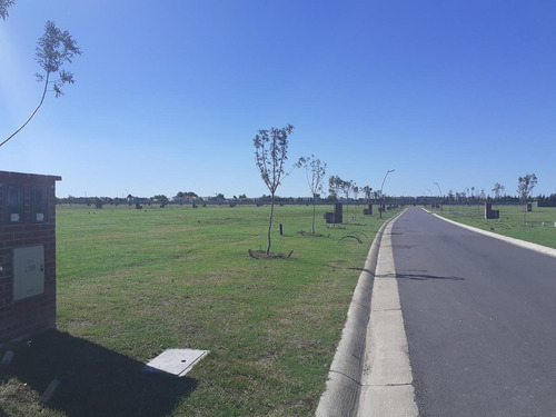 Imagen 2 de 22 de Terreno - Carpinchos