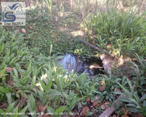 Imagem 12 de 15 de Chácara Para Venda Em Pedra Bela, Zona Rural, 2 Dormitórios, 10 Vagas - 593_2-1186173