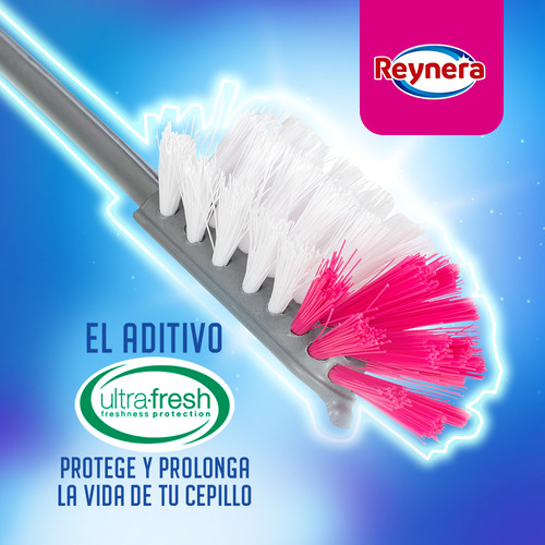 Kit Cepillos Para La Limpieza De Recipientes 24 Pzas Reynera Color Gris