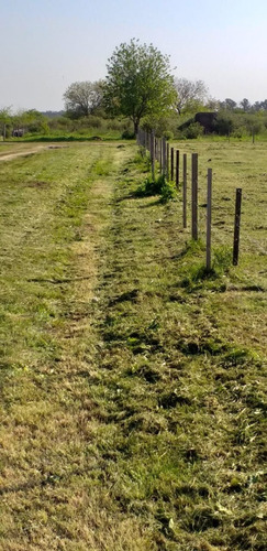 Imagen 8 de 24 de Lote Con Caballerizas Vende O Permuta