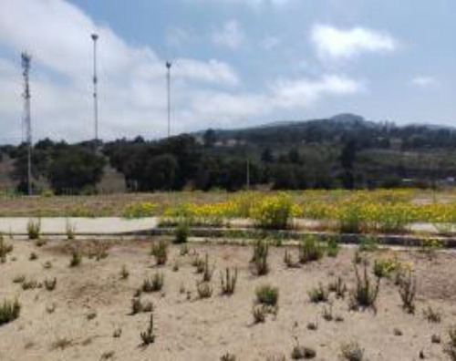 Industrial En Venta En Puchuncaví