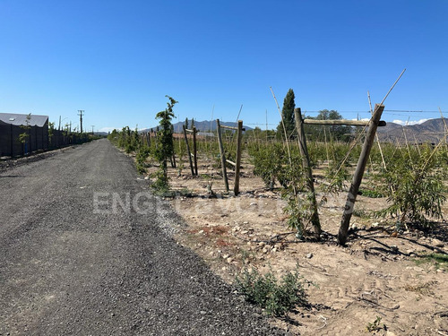 Terreno En Santa Amalia