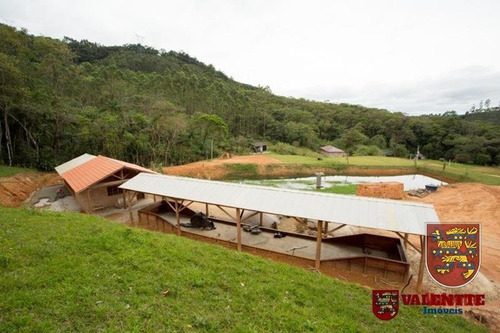 Imagem 13 de 15 de Sitio - Centro - Ref: 1401 - V-1401