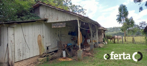 Imagem 7 de 15 de Chacara Com Casa - Mariental - Ref: 712 - V-712