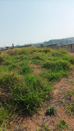 Oportunidade, Terreno Em Guarulhos