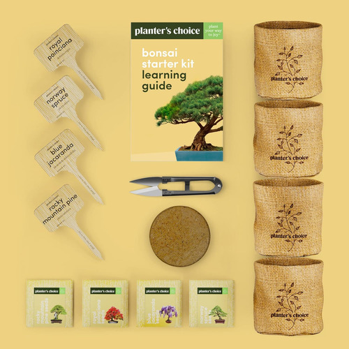 Kits Para Empezar Un Bonsái Con Árbol Y Herramientas De Adul