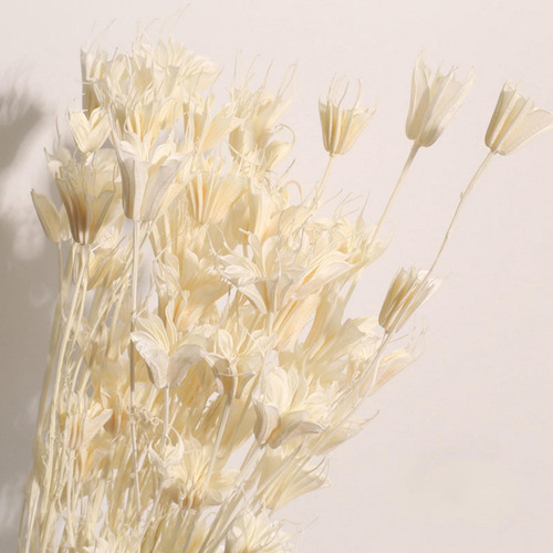 Ramo De Flores De Anisa De Estrellas Secas Naturales Centros
