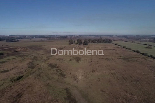 Imagen 3 de 11 de Terreno En Venta O Permuta Ubicado En Zárate, Pilar Y Alrededores