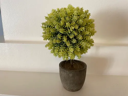 Ikea Planta Artificial En Maceta De Piedra Fejka Sedum Acre