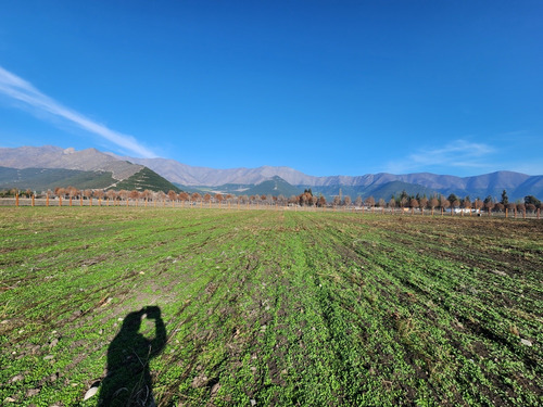 Krieg In Europa Wohin?: 10.000mts2, V Región, Chile