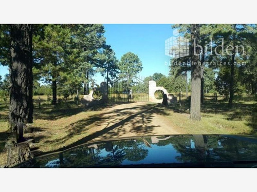 Imagen 1 de 6 de Terreno En Venta Rancho El Oso