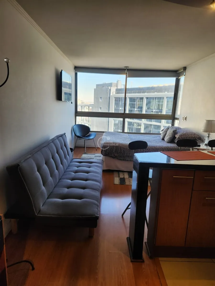Imagen 5 de 22 de Dpto Venta 1 D. Las Condes Metro Manquehue