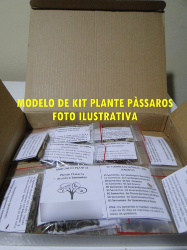 Kit 300 Sementes De Ipê + Jacarandá + Flamboyant P/ Mudas