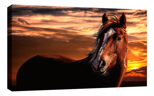 Cuadro Decorativo Canvas Moderno Caballo Fantasia Noche Color Caballos Salvajes 3 Armazón Natural