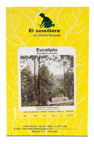 Semilla Eucalipto Grand Sb X   3 Gramos