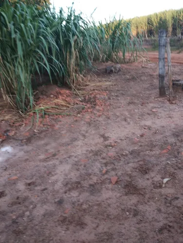 Propriedade Rural