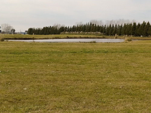 Imagen 2 de 5 de Lote En Venta Puerto Chascomús