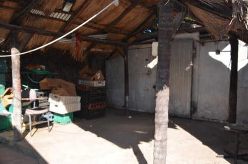 Oportunidad, A Reciclar, Inversion