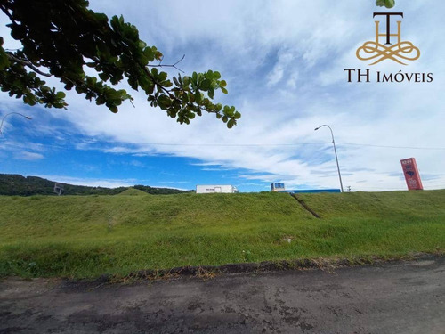 Imagem 10 de 11 de Terreno Para Alugar, 252 M² Por R$ 1.700,00/mês - Nova Esperança - Balneário Camboriú/sc - Te0053