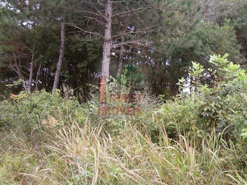 Imagem 5 de 7 de Terreno Em Condominio - Ref: 2733 - V-2733