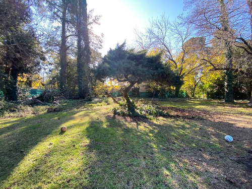Imagen 7 de 8 de Terreno En Venta En San Miguel